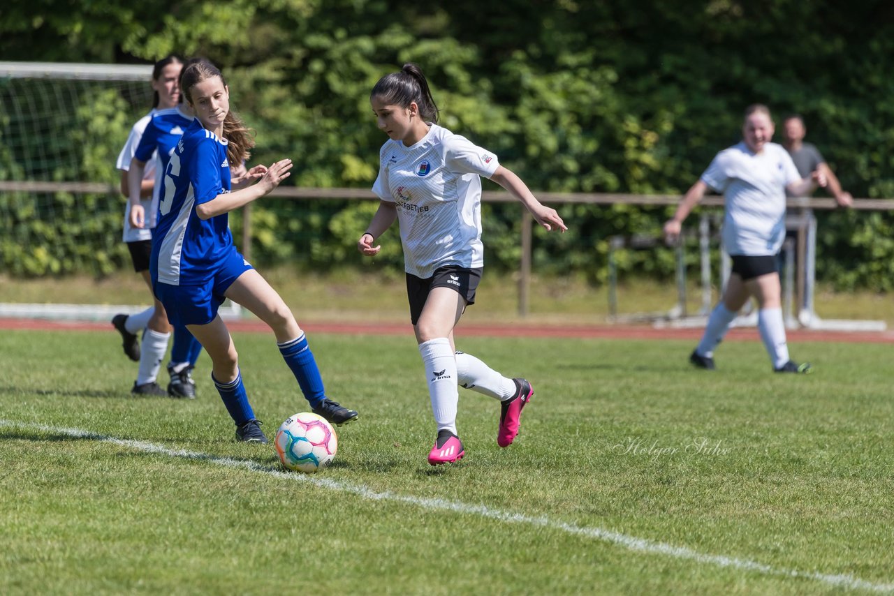 Bild 230 - wBJ VfL Pinneberg - Harksheide : Ergebnis: 2:1